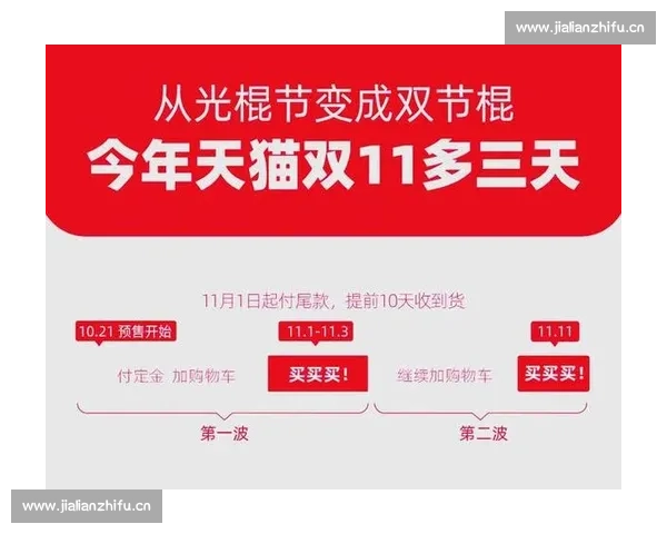 双11购物狂欢节揭秘:从优惠策略到消费趋势的全方位分析